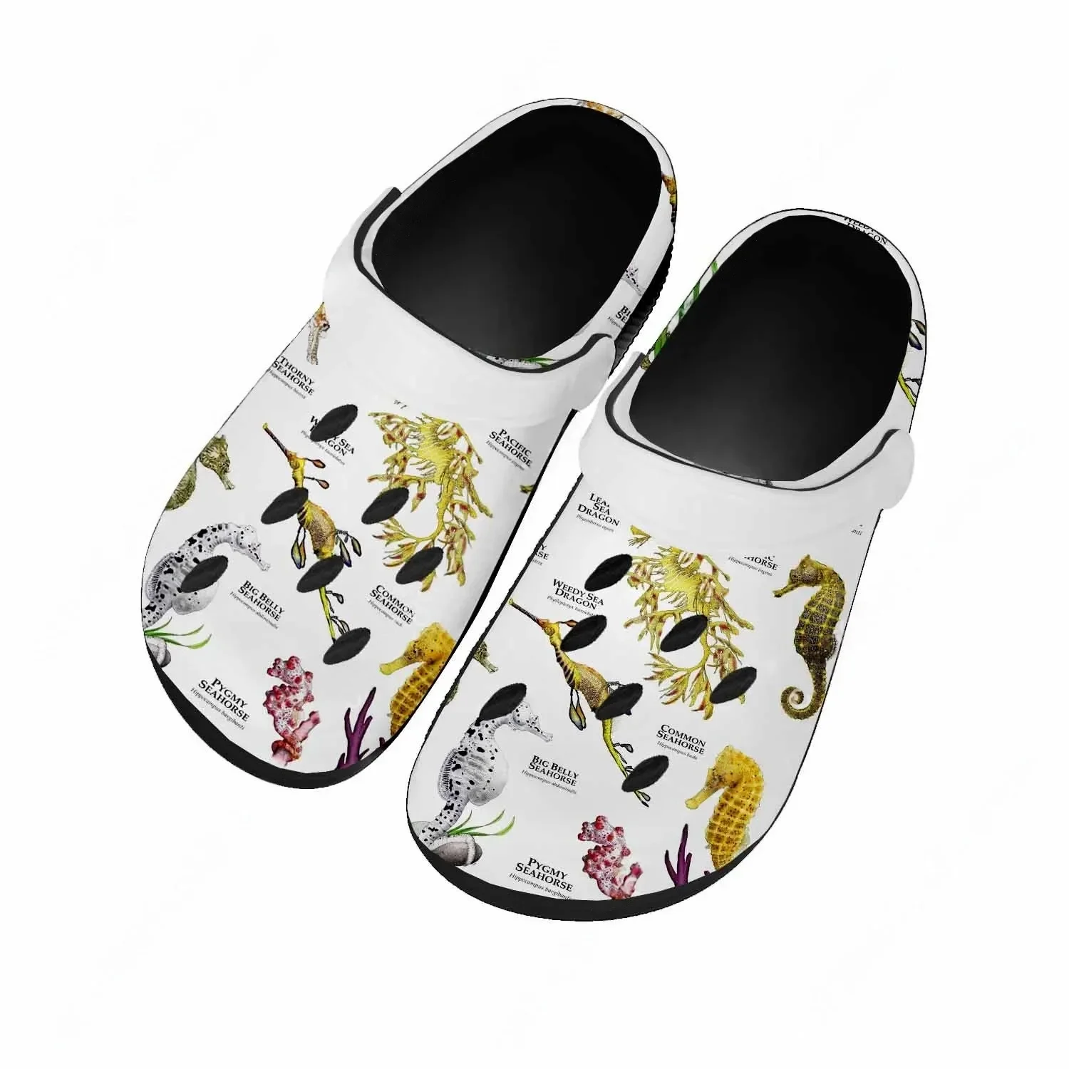 Seepferdchen-Sandalen für Dame – Men'S Shoes Quality Bewertung und Preis